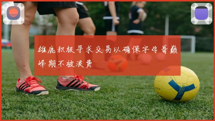 雄鹿积极寻求交易以确保字母哥巅峰期不被浪费