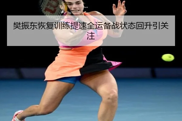 樊振东恢复训练提速全运备战状态回升引关注 - ldsports